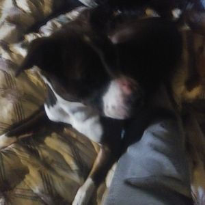 Meet your Posher, Marshall